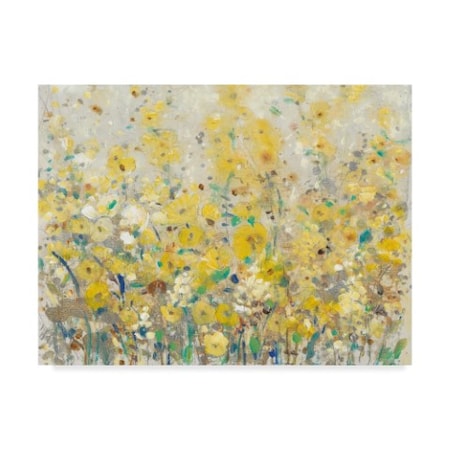Tim Otoole 'Cheerful Garden I' Canvas Art,14x19